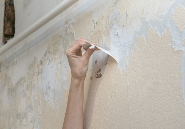 Señales que nos indican cuándo renovar la pintura de las paredes