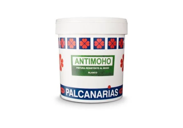 Pintura antimoho para pintar paredes de yeso
