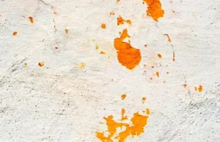 pintura antimanchas al agua palcanarias