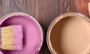 pinturas con efectos decorativos